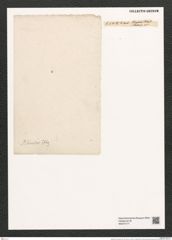Rhaphoneis rhombus Ehr. (de-Toni-Nr.: Genus 78, Species 2814) Zeichnungen Sammlung Grunow (NHMW-BOT-W0374177)